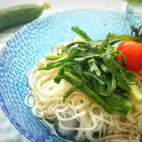 夏野菜のっけそうめん|mic0さん