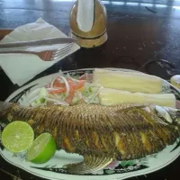 pescado frito con yuca cocida y ensalada|Daniel Jesus Ojeda Mezaさん