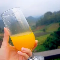 Snapdishの料理写真:orange juice 👌 
 #fresh#orange#orangejuice#drink#sweet|amso_deliciousさん