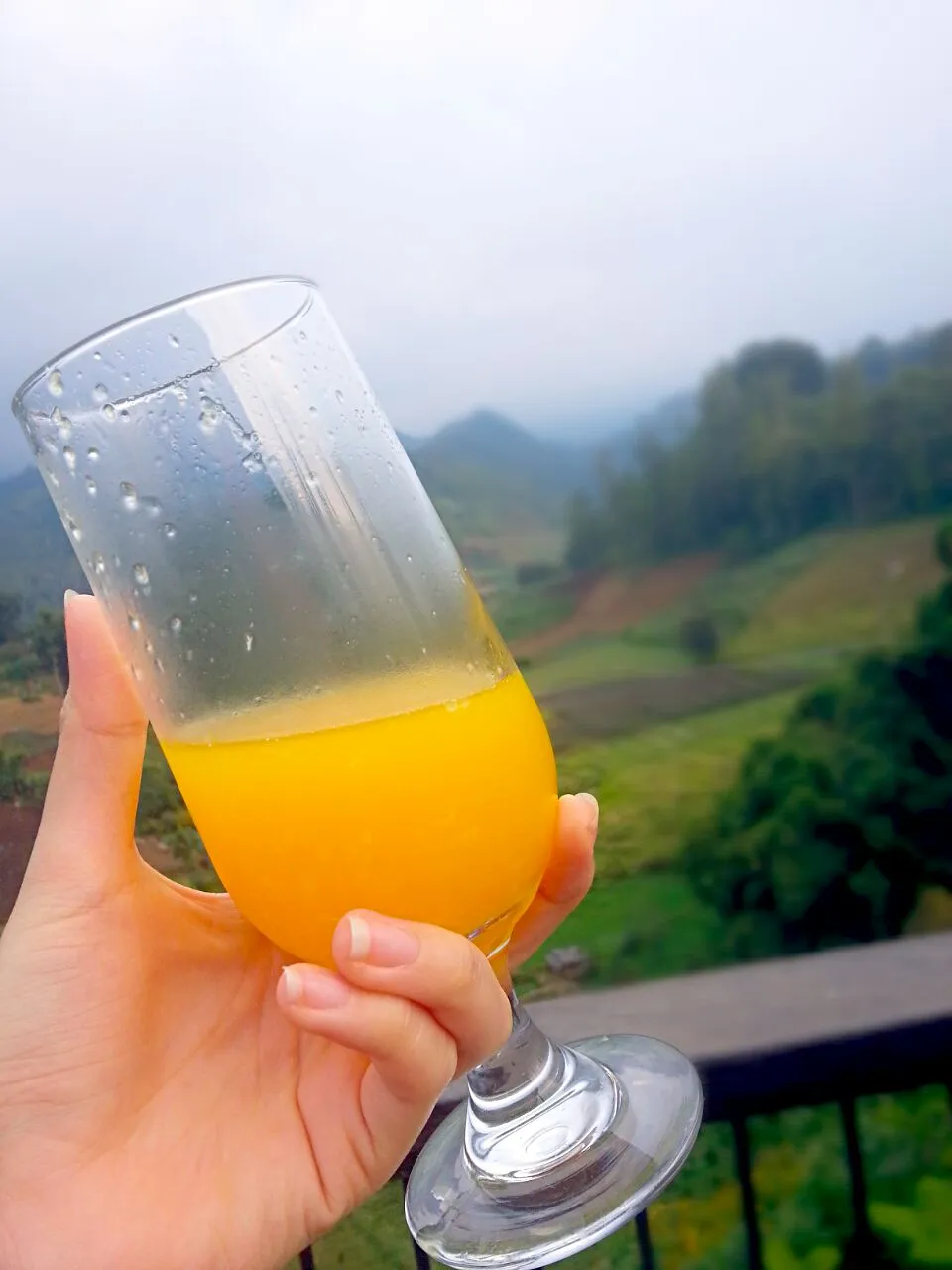 orange juice 👌 
 #fresh#orange#orangejuice#drink#sweet|amso_deliciousさん