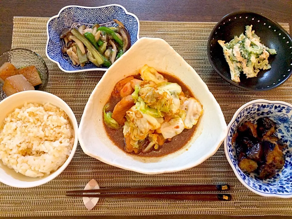 鶏とキャベツの塩麹炒め   コンニャクステーキ   ナスとピーマンの炒め物   ゴーヤサラダ   ナス南蛮|NAKATAさん