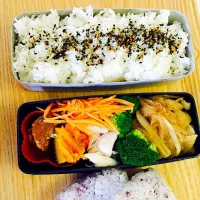 生姜焼き^ ^豚肉鶏肉魚のお弁当|emiaさん