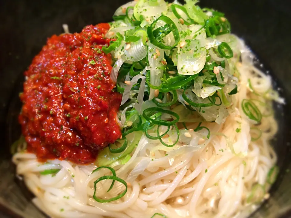 辛味ねぎそうめん2|半田手延べそうめんの店 阿波や壱兆さん