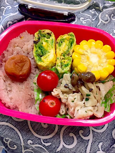 本日のお弁当（≧∇≦）豚しゃぶパクチー♡|mi2yoさん