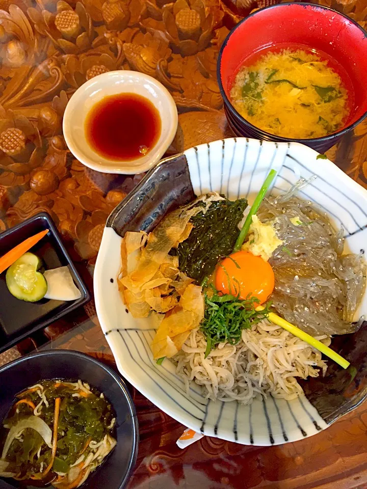 Snapdishの料理写真:生しらすと釜揚げしらす、アカモク叩きの三色丼|Kumi_loveさん