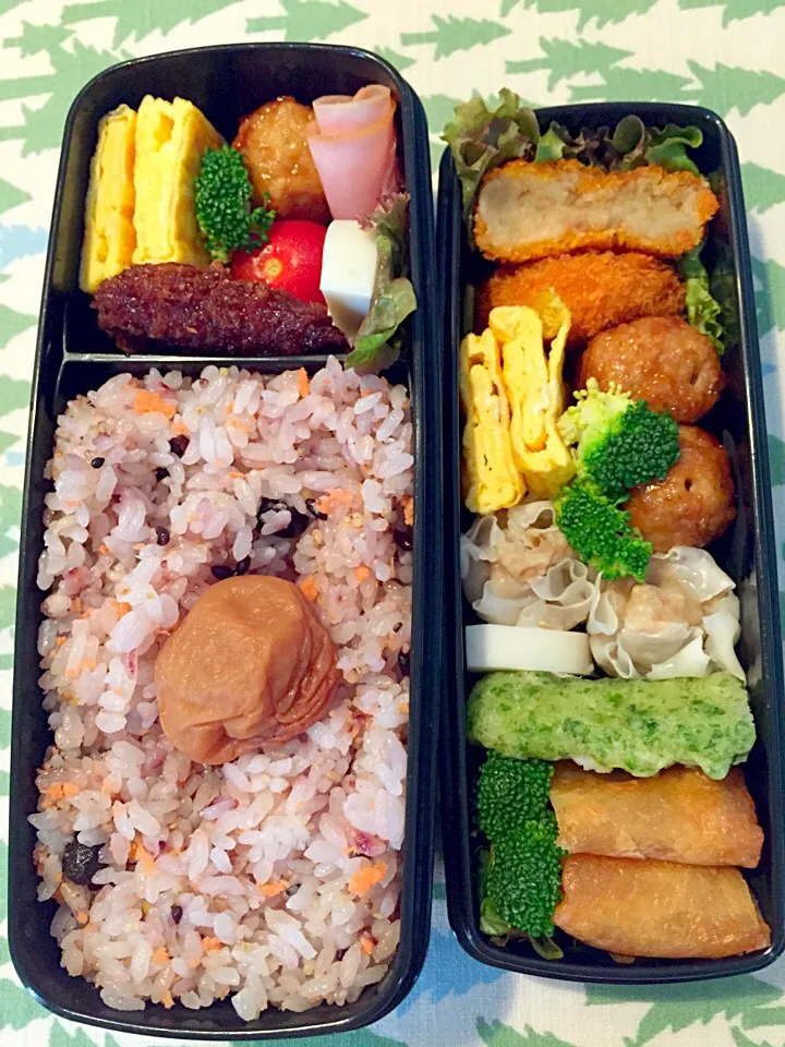 Snapdishの料理写真:お弁当8/5|理恵さん