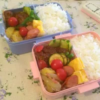 Snapdishの料理写真:本日のはまっこお弁当|Ayumi Tadaさん