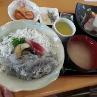 Snapdishの料理写真:生しらす丼|yukiyukiさん