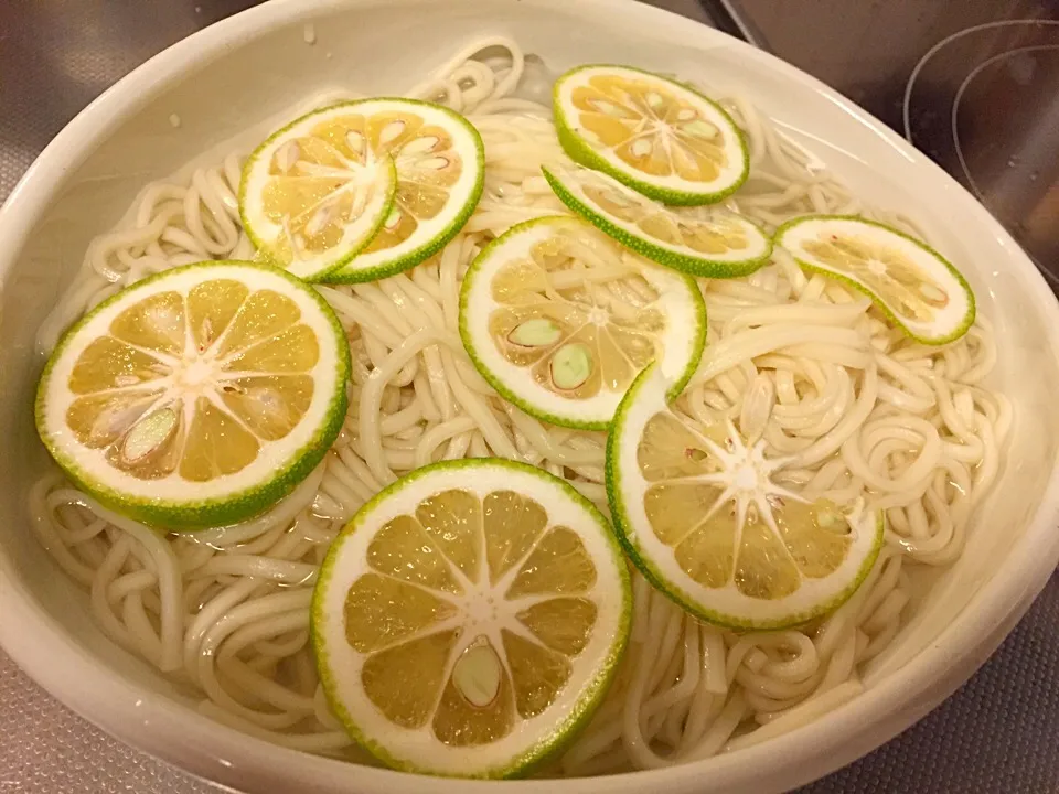 かぼす冷やしうどん|びすこさん