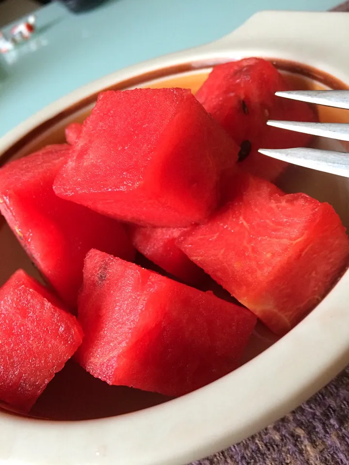 First watermelon from the garden|Nigelさん