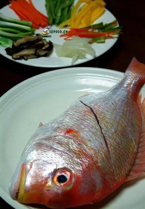 五柳红衫。。。hot and sour fish 1|steven z.y.さん