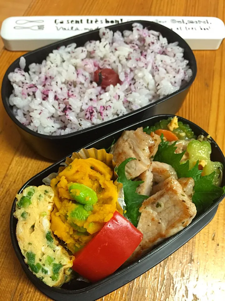 今日のお弁当|yuganさん