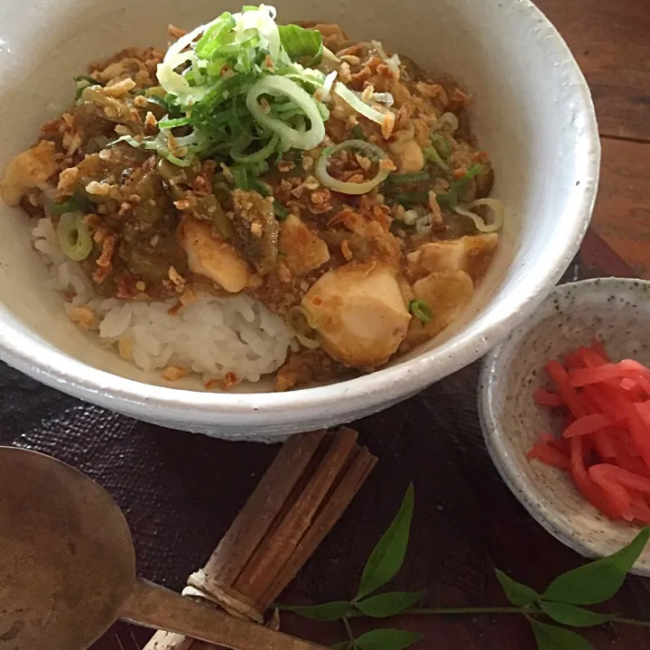 リュウキュウと豆腐の生姜カレー鶏そぼろ丼|麦チョコさん