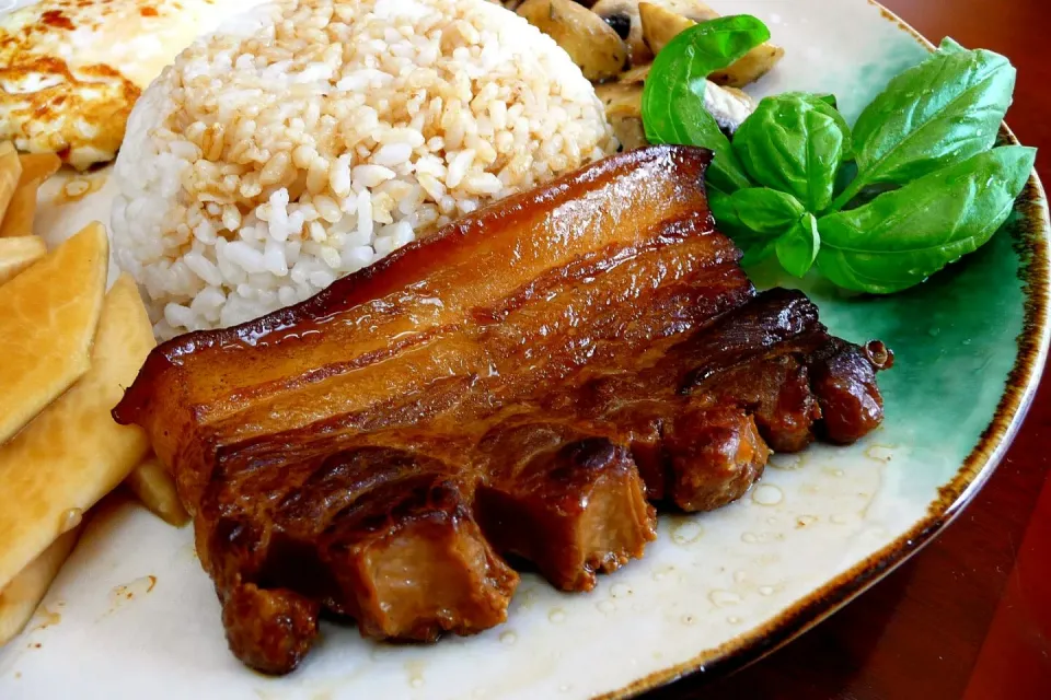 控肉饭。。。braised pork belly in dark soy and wine|steven z.y.さん