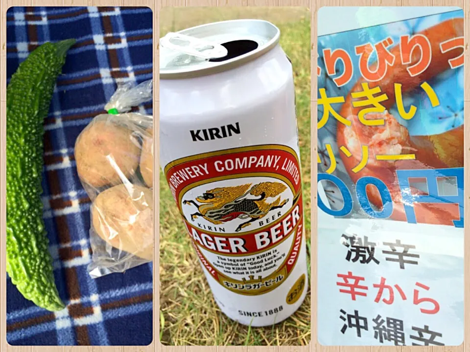 ゴーヤ、ジャガイモ3個…100円。激辛チョリソー 300円。ラガーはコンビニで🍻|風流料理人さん