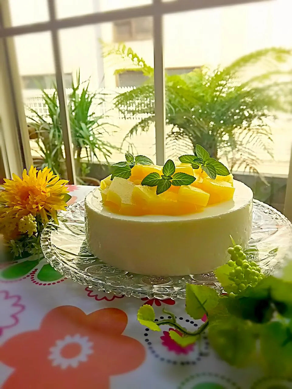 ひかりママ＊さんの簡単♪プルプルふわふわ~ムース食感♡濃厚ヨーグルトケーキ♬|かよこさん