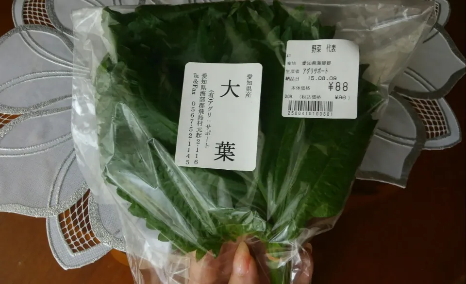 珍しい野菜part 19🌱｢デカい大葉!｣…サイズを測ってみたら、24㎝×18㎝。女性心理の理想は、16㎝程×？だそうですから、ちょっと越えちゃってますけどいいですねぇ(*^^*)✴～|*ママちゃん*さん