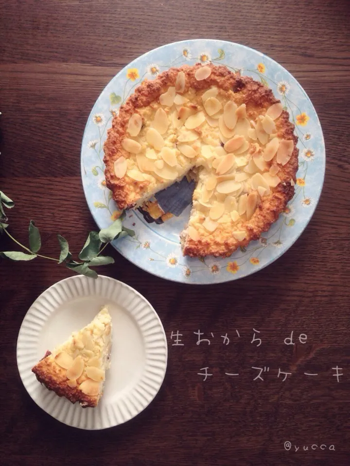 nonさんの料理 濃厚❤︎おからdeチーズケーキ♪    生クリーム、牛乳、粉類も不使用❗️でもチーズケーキ👍パサついて見えるけど、しっとりなんです✨|yucca@さん