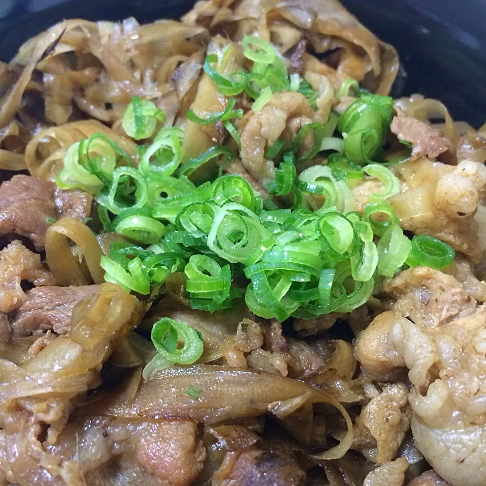 豚ごぼう丼|シンさん