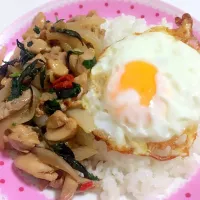 Snapdishの料理写真:กระเพาไก่ไข่ดาวค่ะ|Michii  Nitikanさん