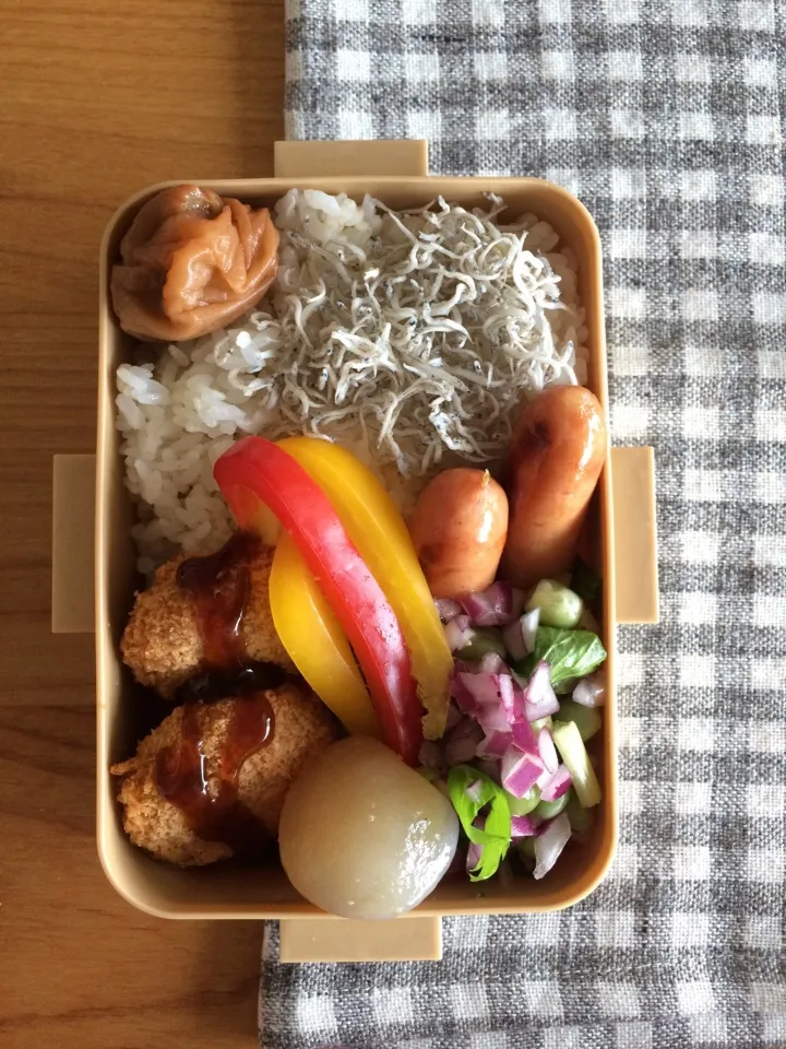 Snapdishの料理写真:8.11。いつものお弁当。|tacconcinaさん