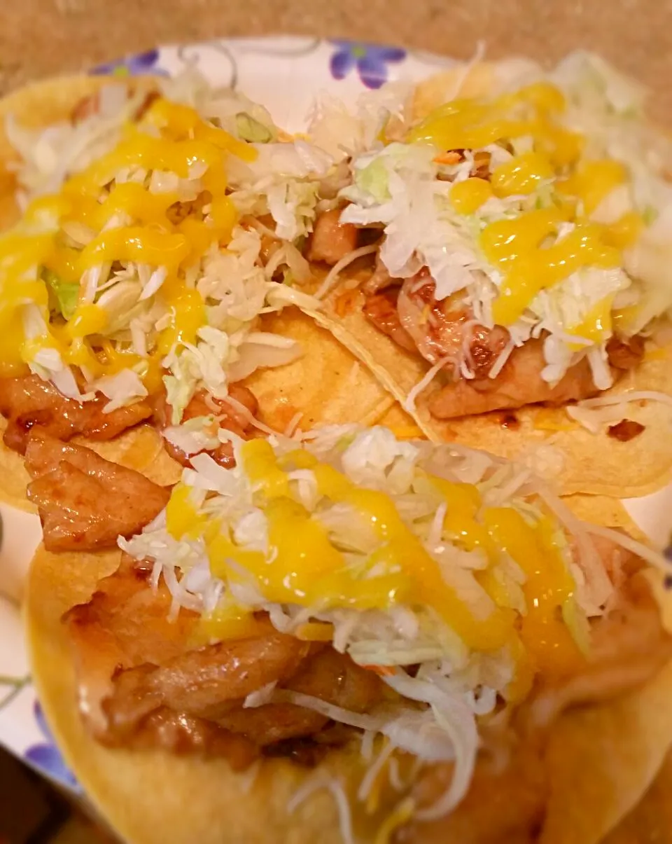 Teriyaki Chicken Tacos with Habanero Slaw and Mango Sauce|Donna Watersさん