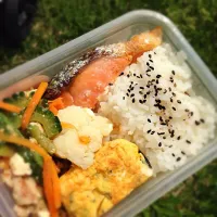 Snapdishの料理写真:お弁当|まなさん