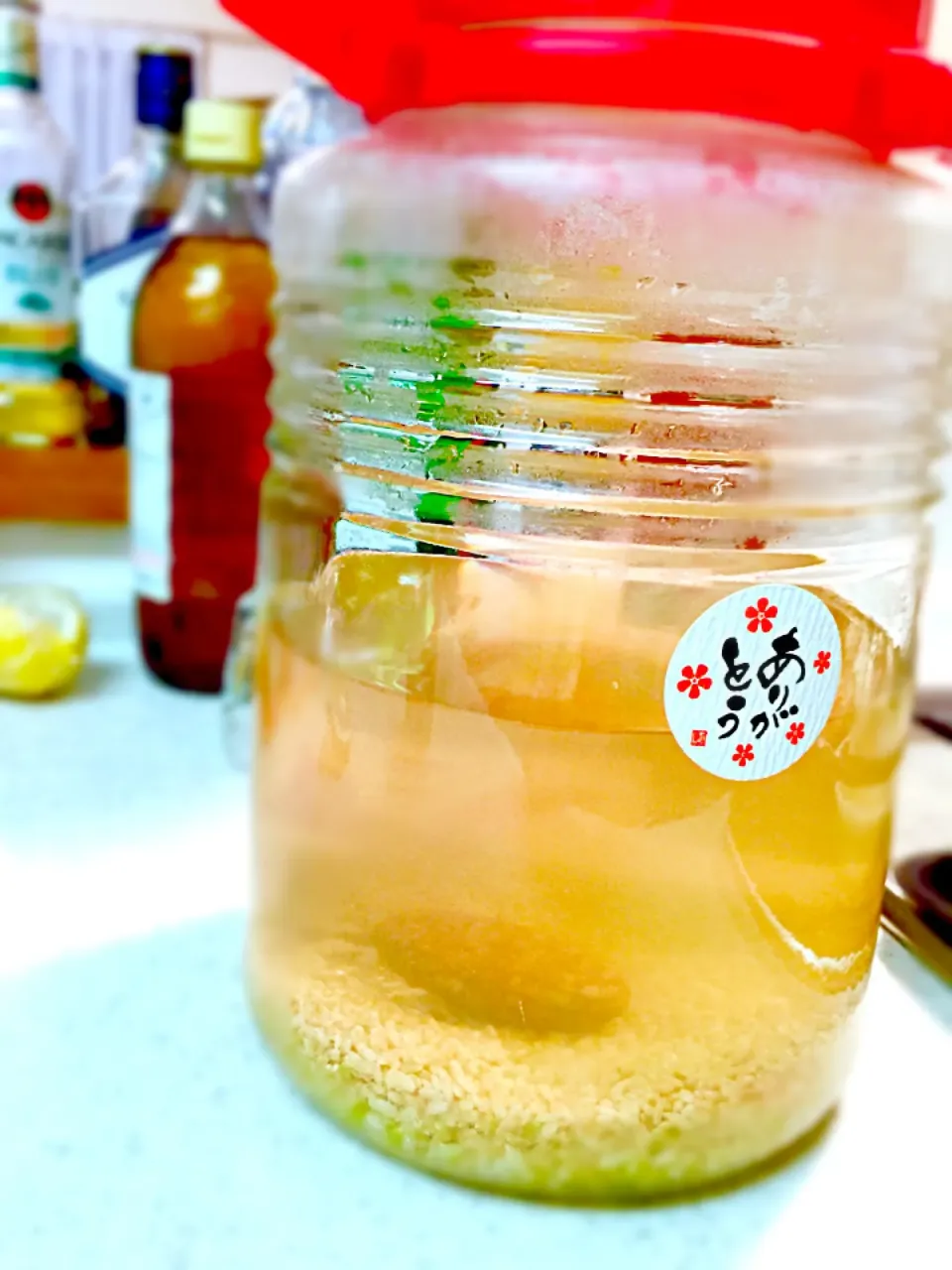 Snapdishの料理写真:玄米酵素仕込み完了👍今回は姫川薬石も投入✨|和さん