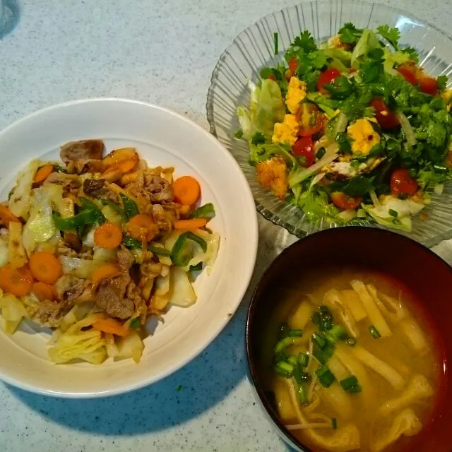 豚肉と野菜の味噌にんにく炒め、揚げ玉子焼きとパクチーのサラダ、お味噌汁|rokochixxx666さん