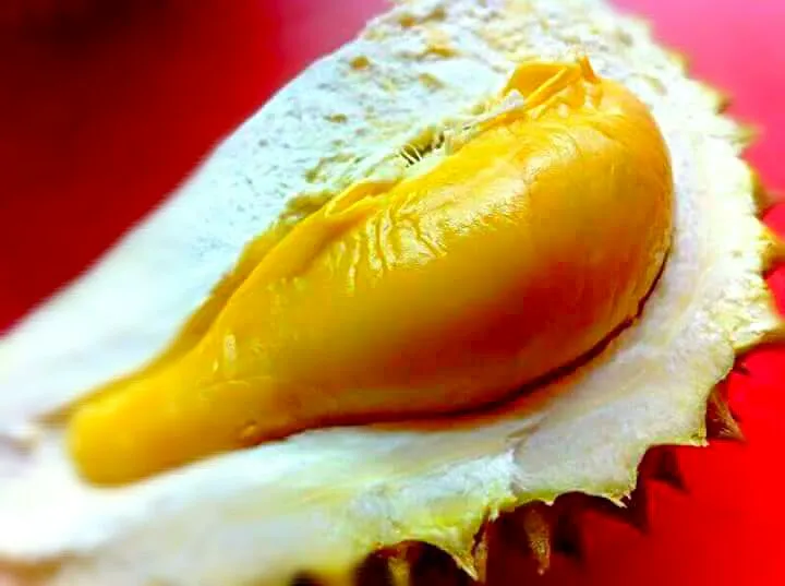 Durian. (King of fruits.)|Chef AJさん