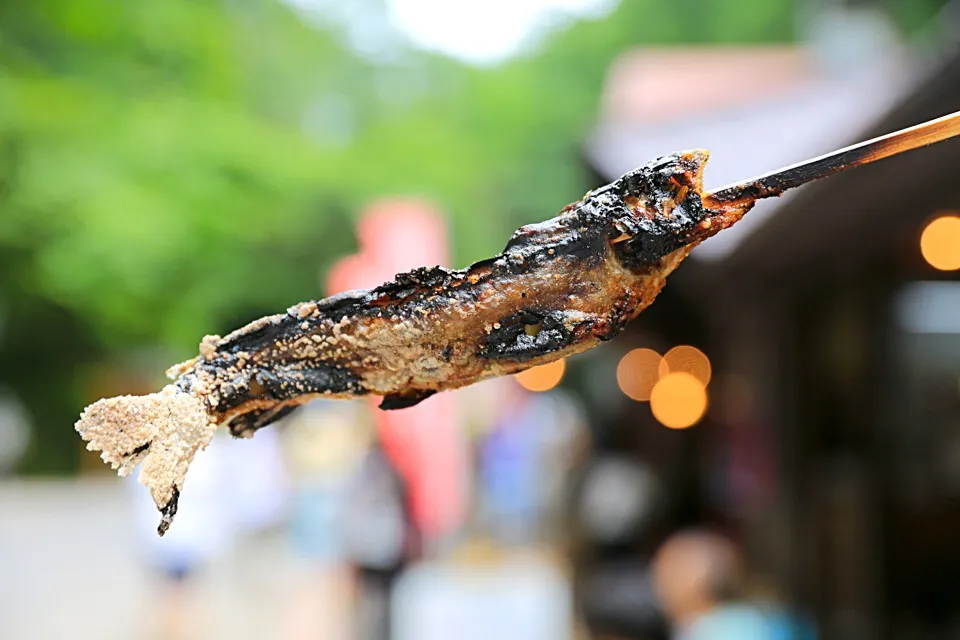 岩魚の塩焼き|マハロ菊池さん