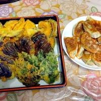 Snapdishの料理写真:Tempura and gyoza|Cristina Enriquez Shiraiさん