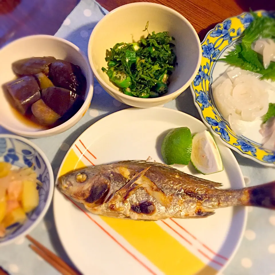 Snapdishの料理写真:娘がさばいたイサキの塩焼きとイカの刺身の晩御飯|mari miyabeさん