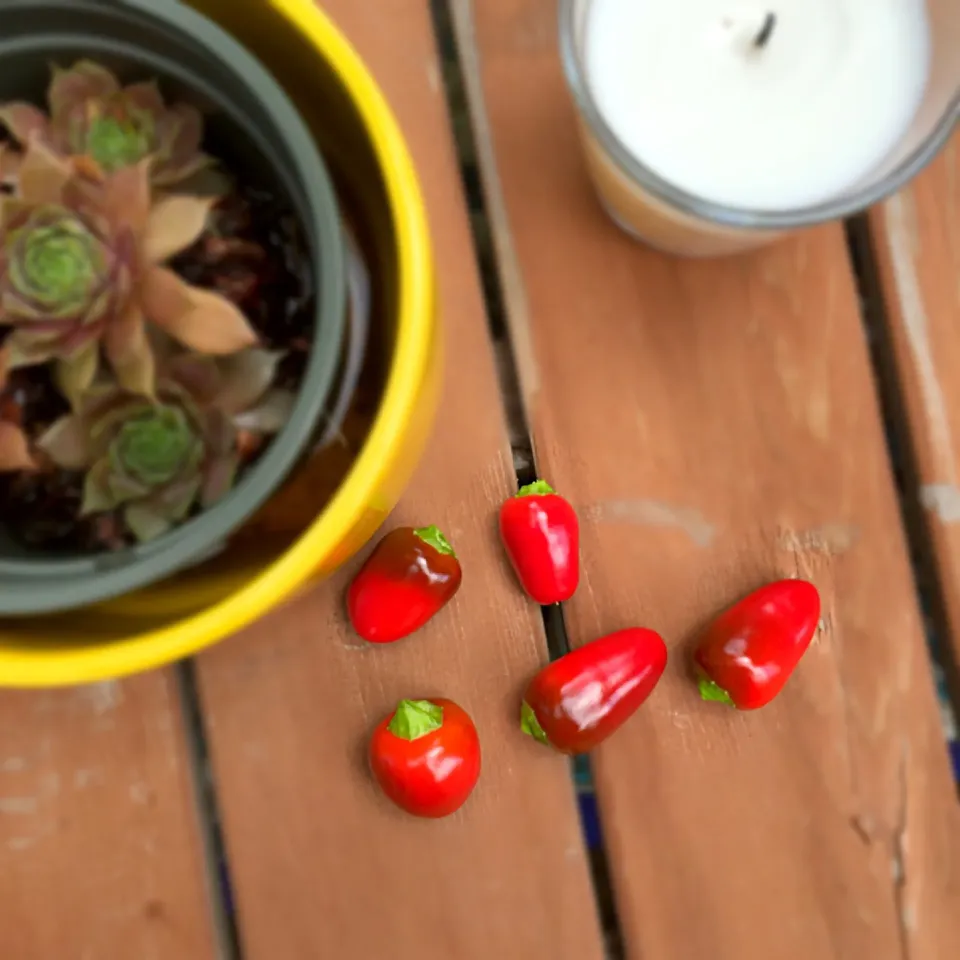 Hot Peppers from the garden. Making Pepper Sauce|T.E.Dennisさん