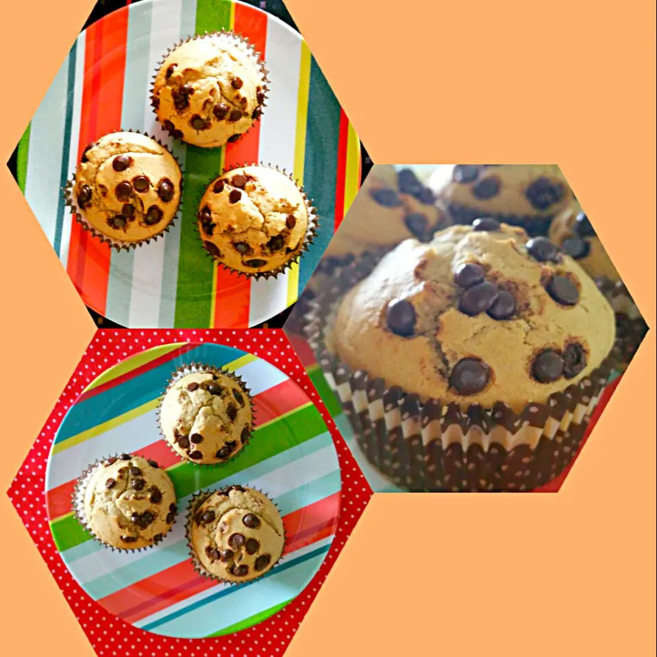 Coffee Chocolate Chip Cupcakes|Juneさん