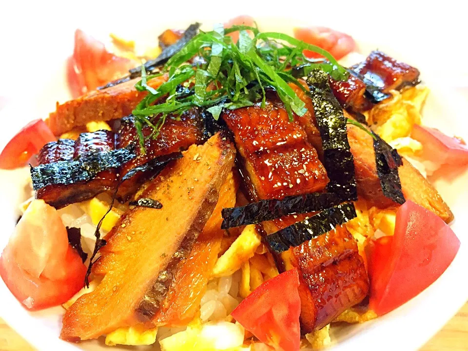 うなぎと海外のお土産で頂いたスモークサーモンの丼。薄焼き卵入り。 酢飯に甘酢生姜、シソいり。|pepiさん