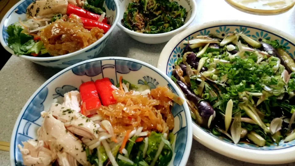 取れたてゴーヤの塩昆布浅漬けとナスのポン酢びたし、サラダラーメン山盛り。|あまねさん