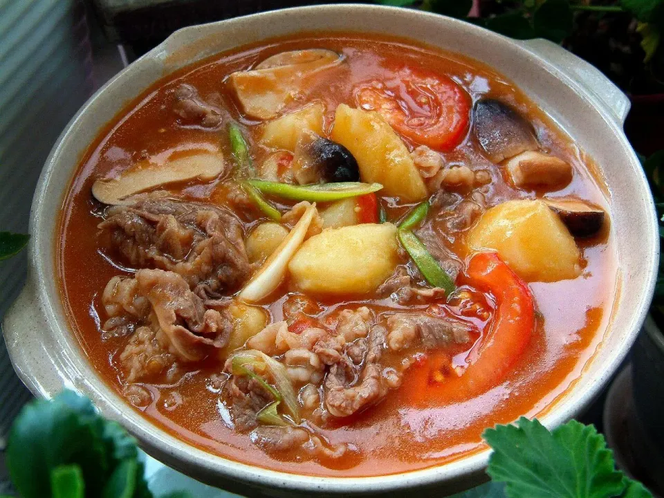 Snapdishの料理写真:茄汁土豆烧牛肉。。。beef and potato in tomato sauce|steven z.y.さん