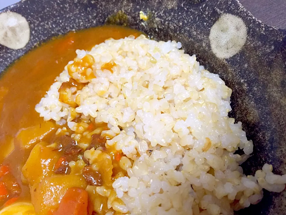 玄米ご飯とカレー|Migaki55さん