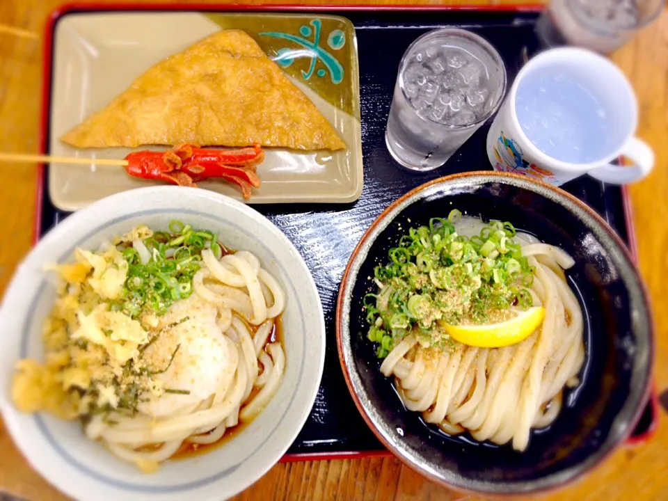 さぬきうどん|もっさんさん