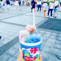 Snapdishの料理写真:Rainbow Kakigoori 🍧|Tabemonoさん