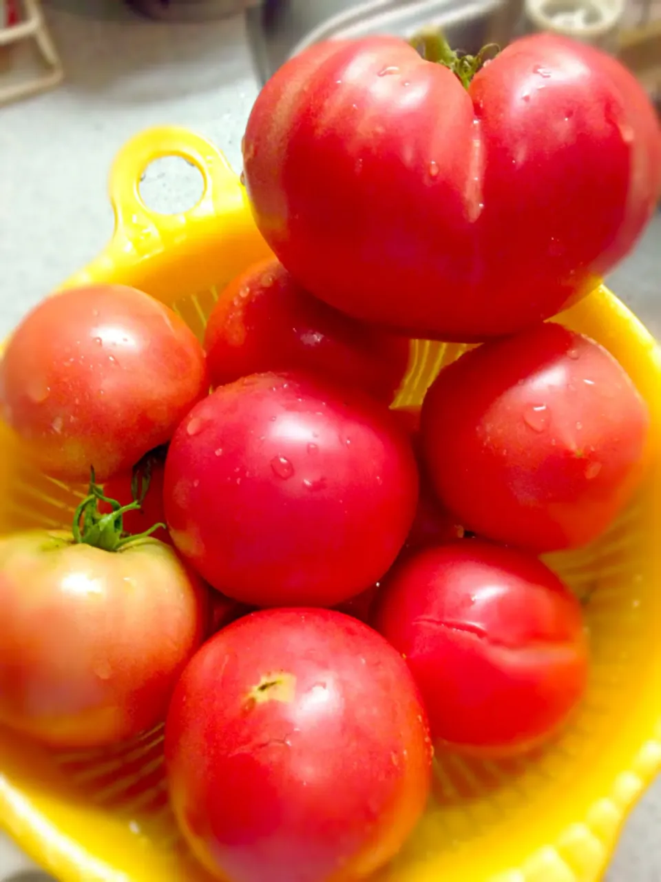 やったー！100投稿目‼️は素材の投稿になっちゃった😅義理父の育てたトマト🍅不揃いだけど美味しそうです|モグちゃんさん