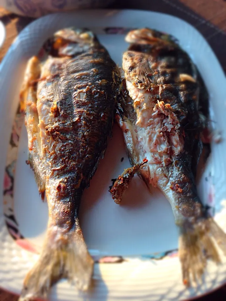 Grill European Sea Bream|Allissa Zhaoさん