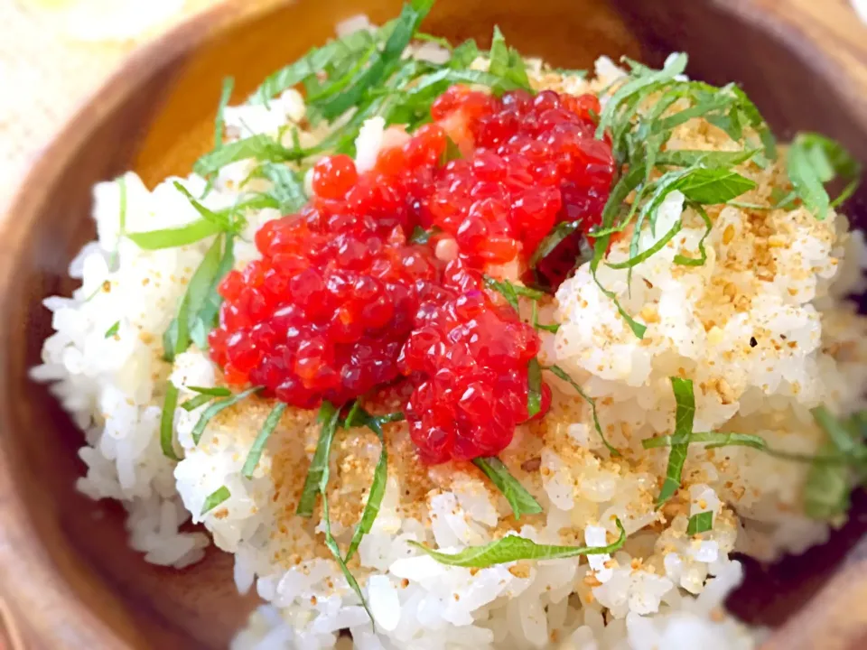 またまたすじこ丼|ゆっこさん