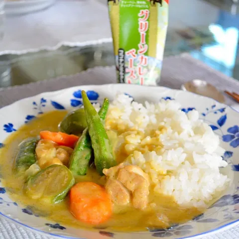 「グリーンカレーペースト／チューブ」を使ってみたSnapdishの料理・レシピ写真:タイグリーンカレー ✨Thai Green Curry using paste ❤️