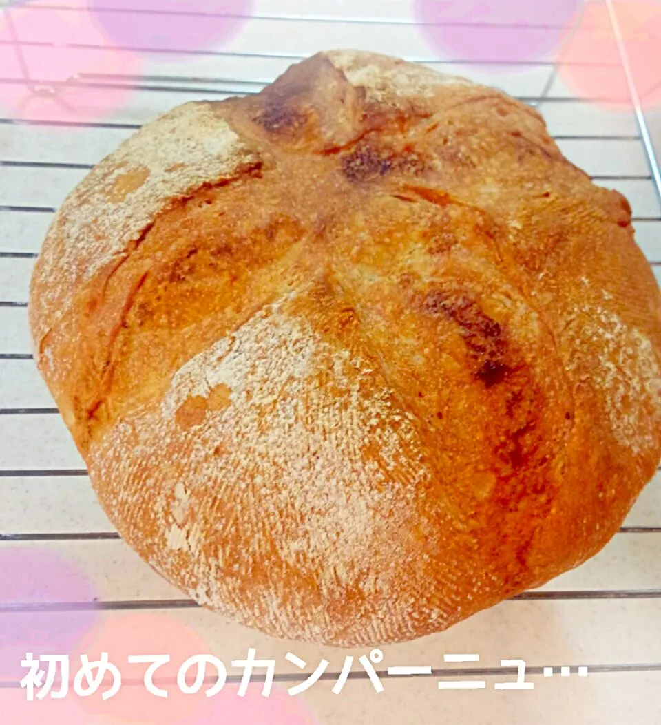 Snapdishの料理写真:初めてのカンパーニュ…らしきもの 😅 󾭛|ゆっこさん