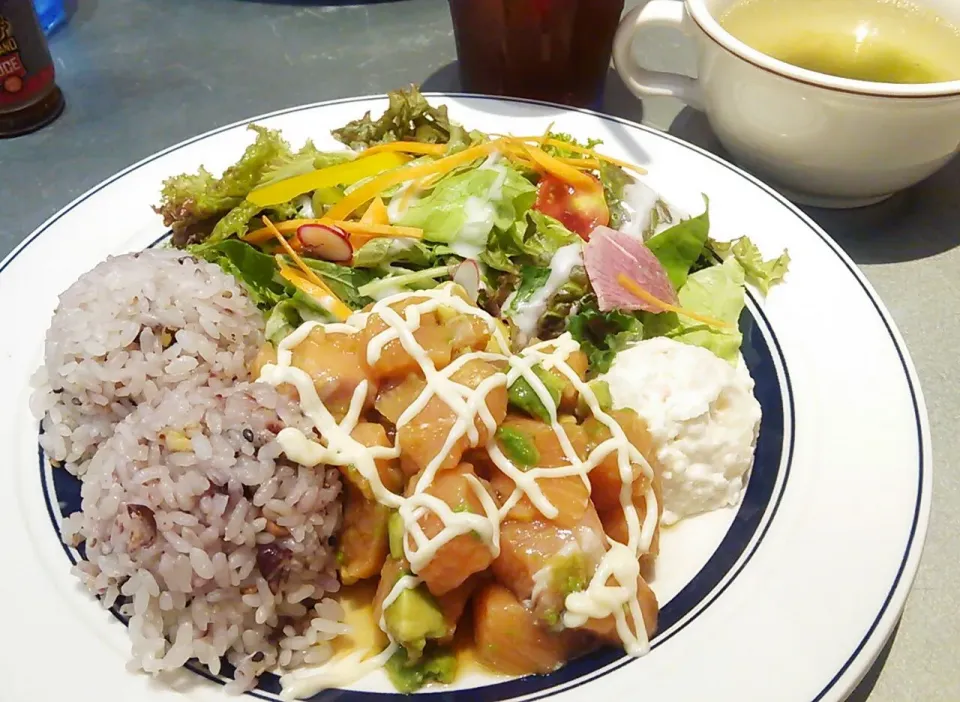 Snapdishの料理写真:サーモンとアボカドのポキプレート
@HANAO CAFE（ハナオカフェ）酒々井プレミアムアウトレット|みるさん