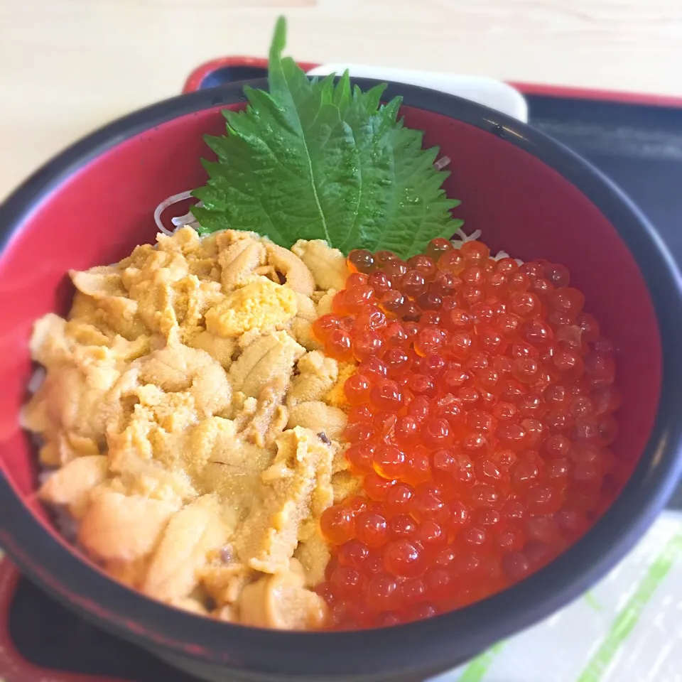 Snapdishの料理写真:積丹 うにいくら丼|さとさやさん