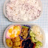 Snapdishの料理写真:8/17のお弁当|にったんさん