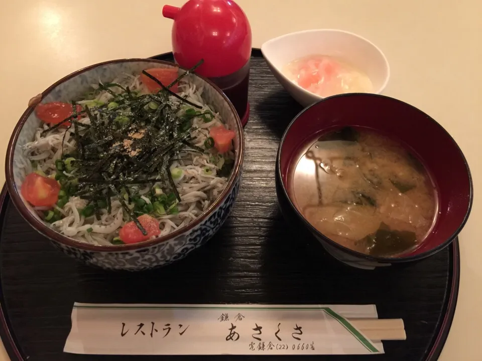 Snapdishの料理写真:鎌倉あさくさ食堂で、釜揚げしらす丼を。タレが美味い。|sniper66さん